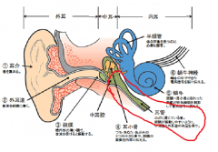 jikan