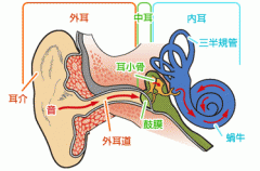 shikumi